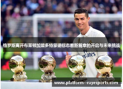 格罗斯离开布莱顿加盟多特蒙德标志着新篇章的开启与未来挑战